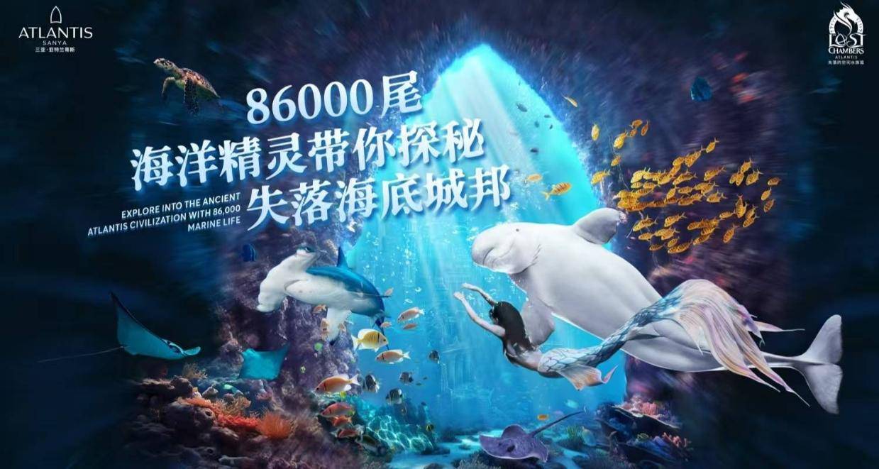 司机从我的行李箱接过，箱子轮子在地上转了两圈