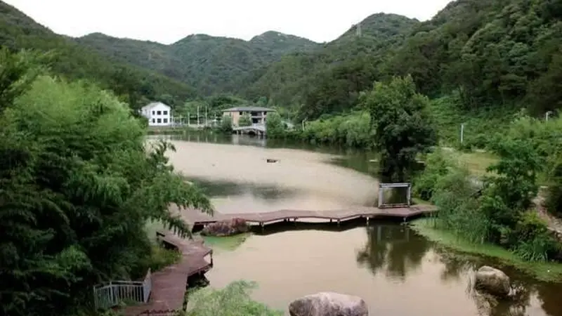 河南桐柏:淮源茗茶“十大全国奖项”背后的产业逻辑