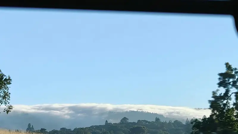 从洛杉矶到旧金山：探索加州西海岸的自然风光之旅