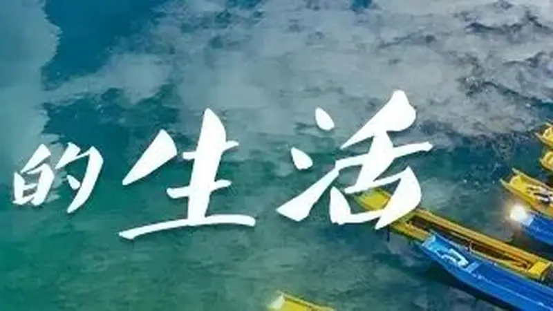 限定快乐!这个暑期,在云南当一回“捡菌人”丨有一种叫云南的生活之365天