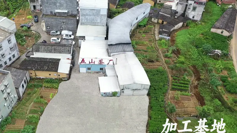 五山茶叶的创新能力如何，研发能力强吗