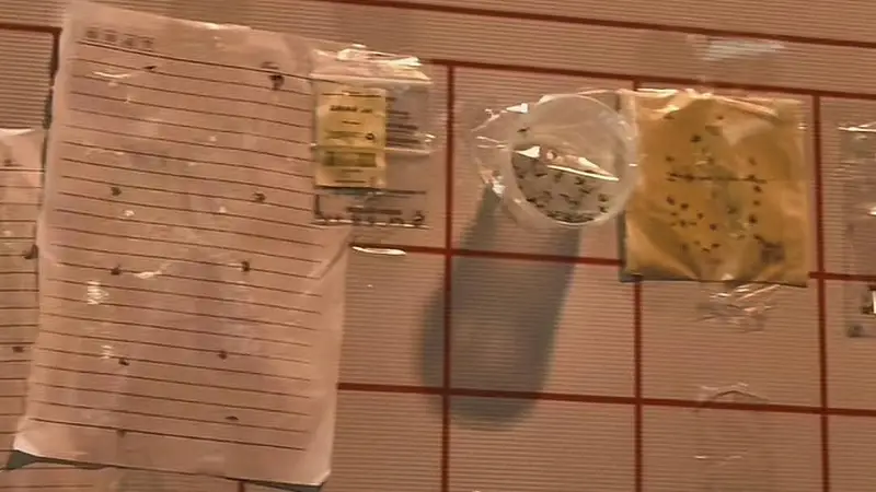 捉蚊换奶茶,南京吾悦不跟:记者探访苏北风靡活动引发争议