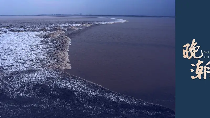 晚潮|青海的湖