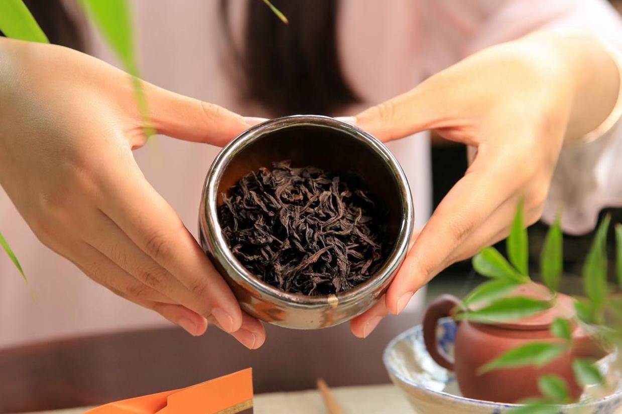 曦瓜大红袍：岩茶也分清香型和浓香型？分析岩茶的品种与香型