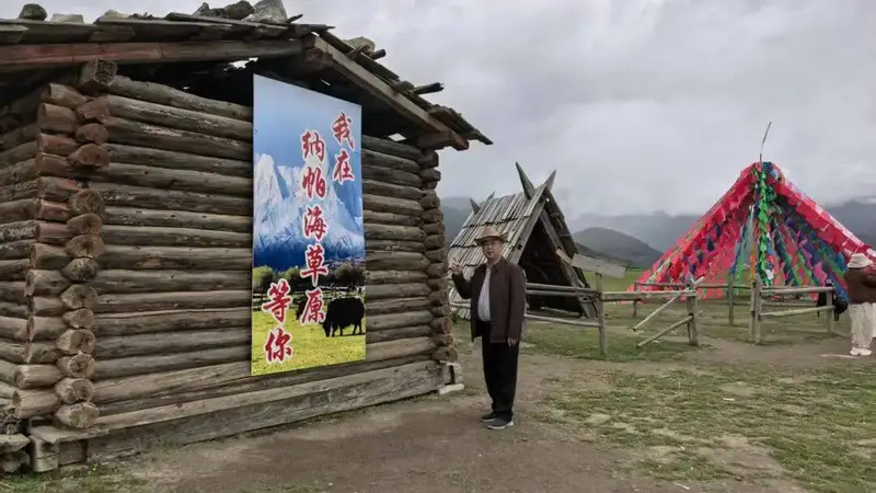 逐风纳帕海,闲卧依拉草原