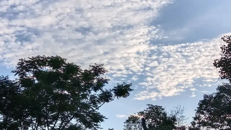 高考698分却称“考砸”：“最差即最优”焦虑背后的新解