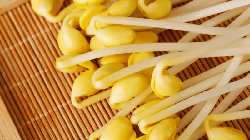 金豆子清水豆芽,藏在烟火里的本味安康