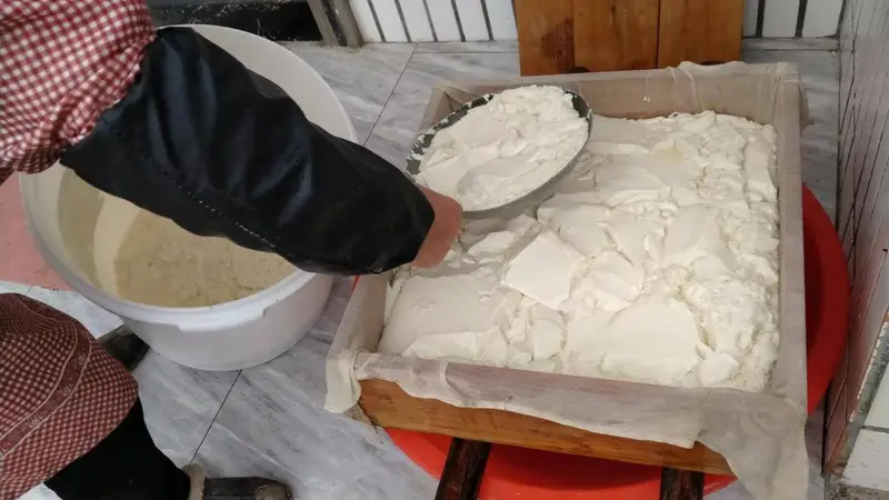 现在的豆腐咋就没小时候那个味儿了?是舌头变了还是豆腐变了?