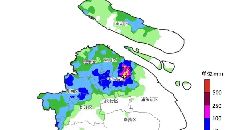 暴雨致复旦校园多处积水,校方称通行已恢复
