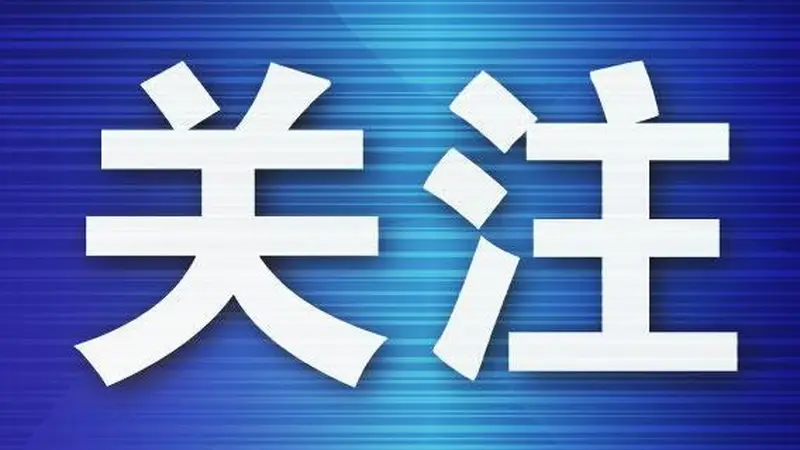 值机迟到谎报“有炸弹”,男子获刑一年半