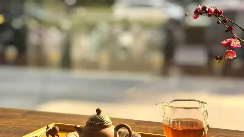 懂茶的人，生活自洽从容
