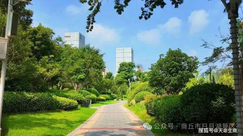 商丘日月湖景区夏日清幽 市民游客赴清凉之约
