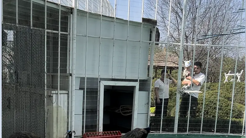 去哪找适合凤城搭帐篷的近郊休闲目的地