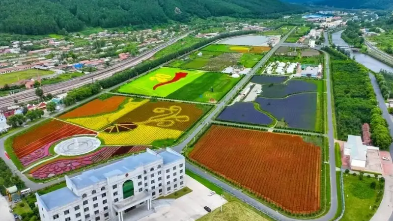 我在大箐山朗乡花海等你~
