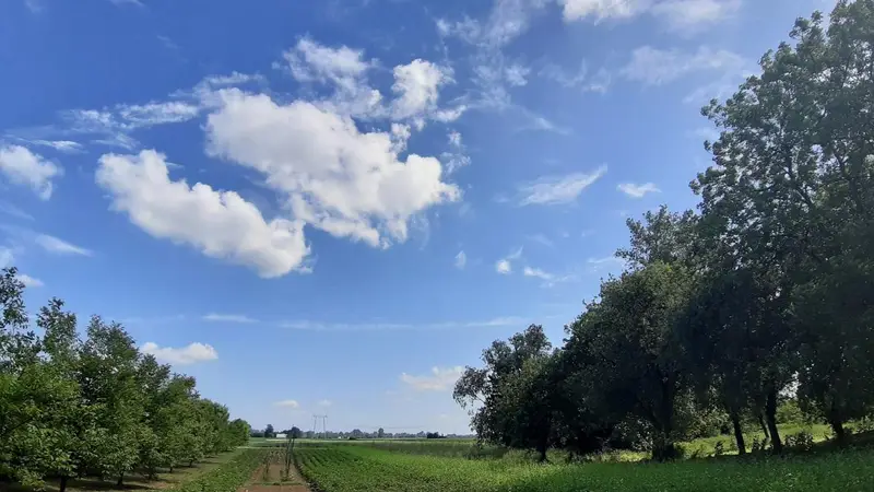 暑假十五日游记:风景、美食与葡萄树的收获