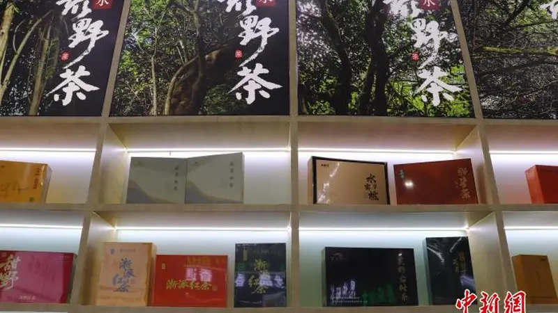 追寻“野”的智慧:浙江人与自然共生“金”