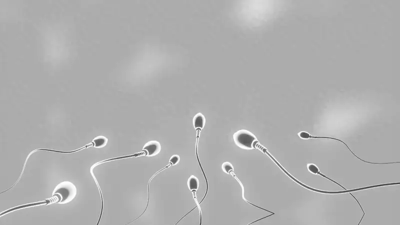 千年“养精蓄锐”遭推翻，牛津 5.4 万人研究：精子越攒，质量越差