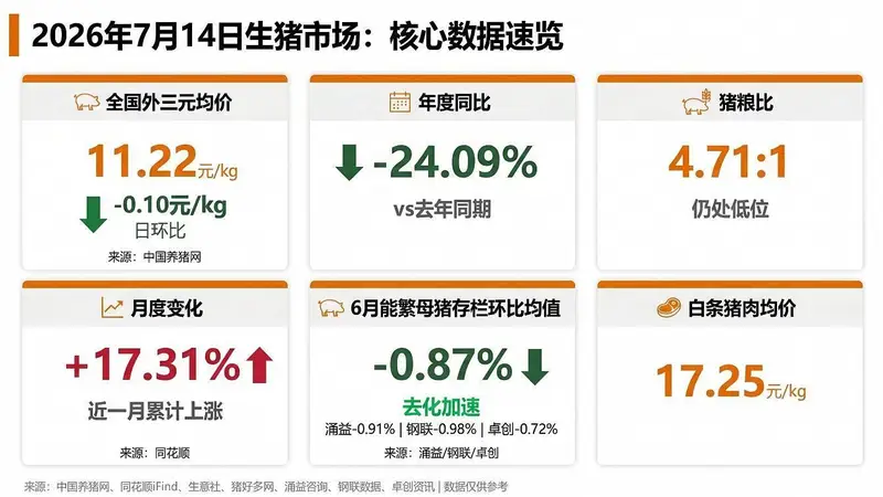 涌益/钢联/卓创三方同步确认6月能繁去化加速!机构提示:二育退潮后猪价短期或承压