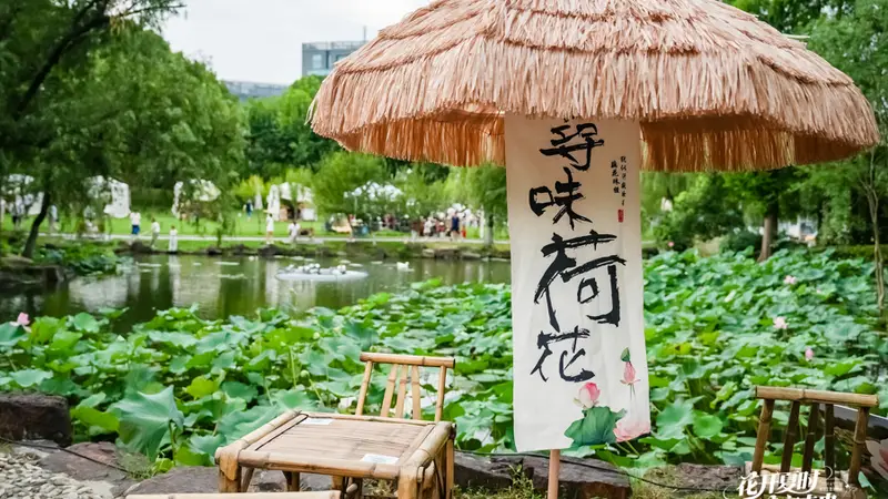 夜游赏荷!大宁公园荷花主题游园会来啦