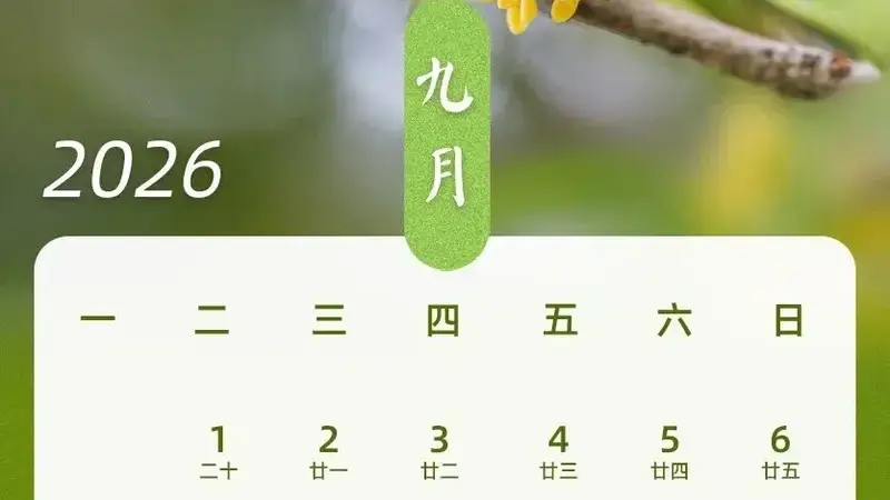 “请3天假休13天”冲上热搜，2026年中秋国庆拼假攻略来了