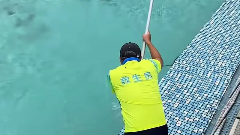 广东景区泳池惊现游蛇 景区回应：系无毒蛇已处理