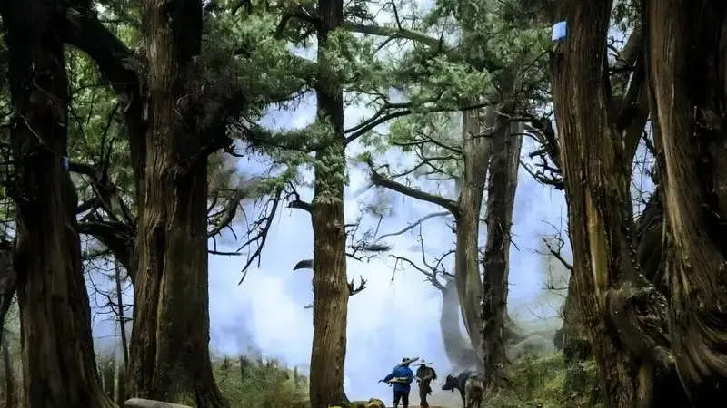 绵阳公路：古道新途，串联山水画卷