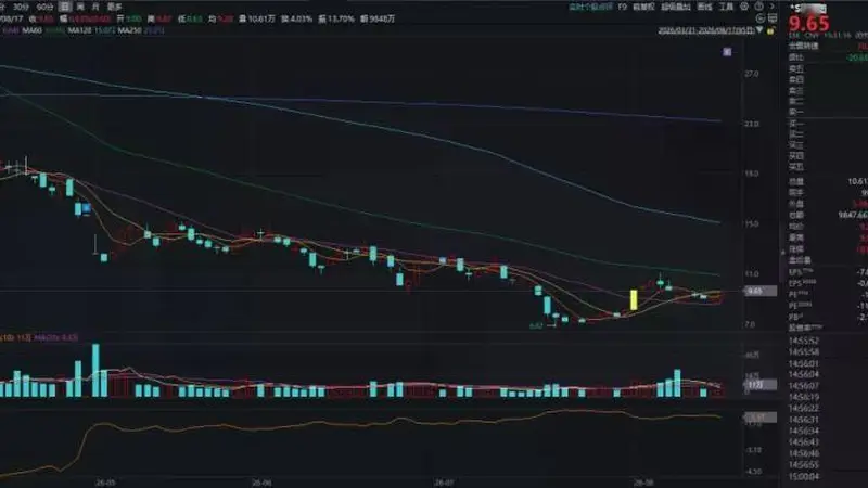 给予“增持”评级后,被国泰海通看好的“龙头”股价“腰斩”