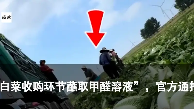 “兰州拉面”改名“青海拉面”，背后藏着多大的经济账？