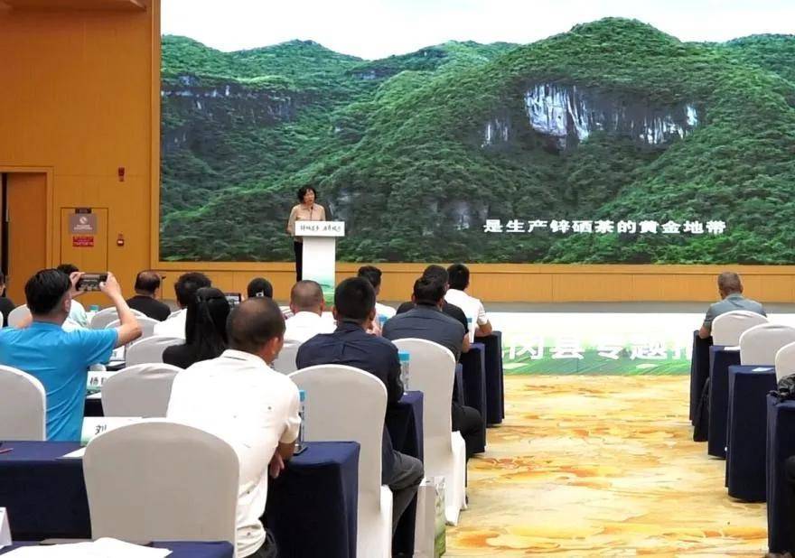 重庆李旭霞一纸“手绘图”的十年凤冈茶钟情