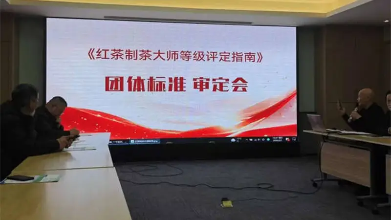 红茶制茶大师等级评定指南团体标准通过专家审定 赋能行业匠心传承