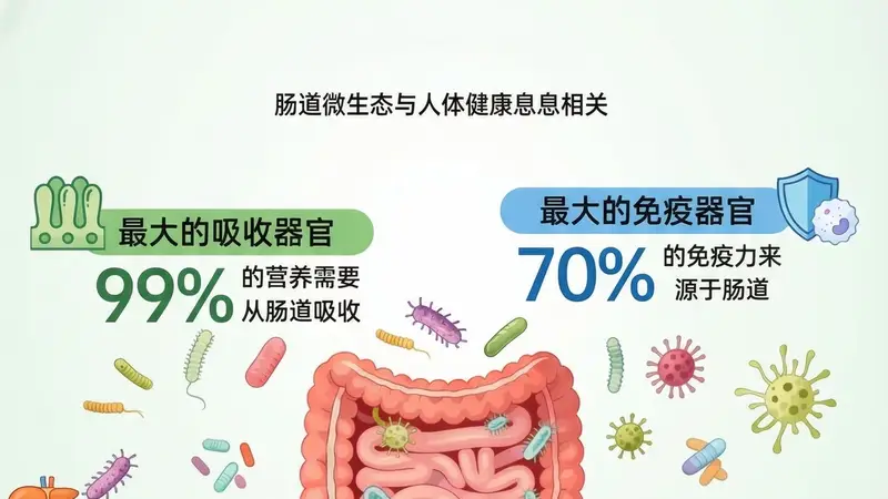 发酵食品养肠有讲究:不同菌种发酵产物作用不同,选错反而扰乱原有菌群平衡