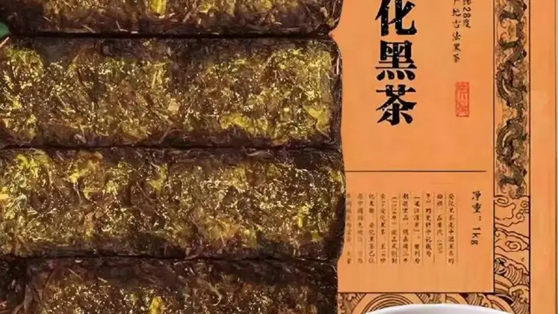 刘仲华院士获国家科技奖 破解黑茶金花菌调控密码实现产业升级