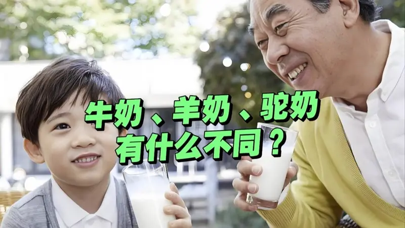 牛奶、羊奶、骆驼奶,到底哪种营养更高?