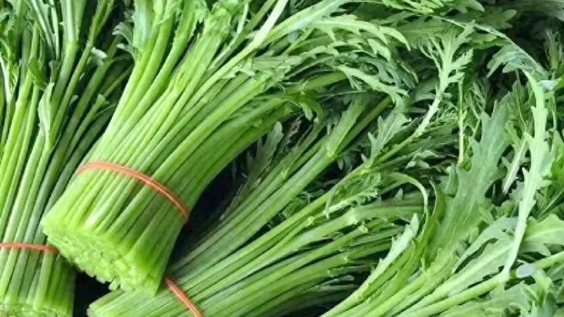 和脾胃、清心火、消痰止咳!这种蔬菜现在吃正合适→