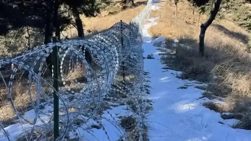 泰山“刀片围山”背后的决策逻辑，该说得更清楚