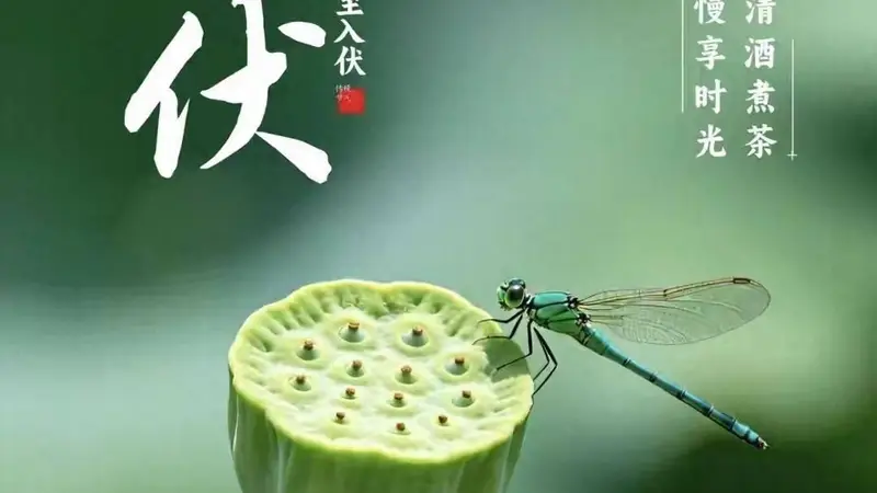 明日入伏，强烈建议中老年：明日早餐吃这4种，精神抖擞一整天！