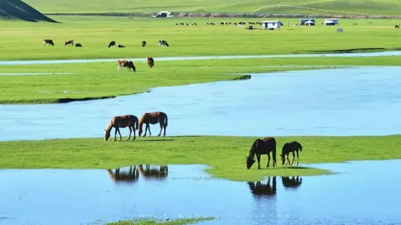 内蒙古多地风光绝美，入选《中国国家地理》中国内陆避暑“王牌”