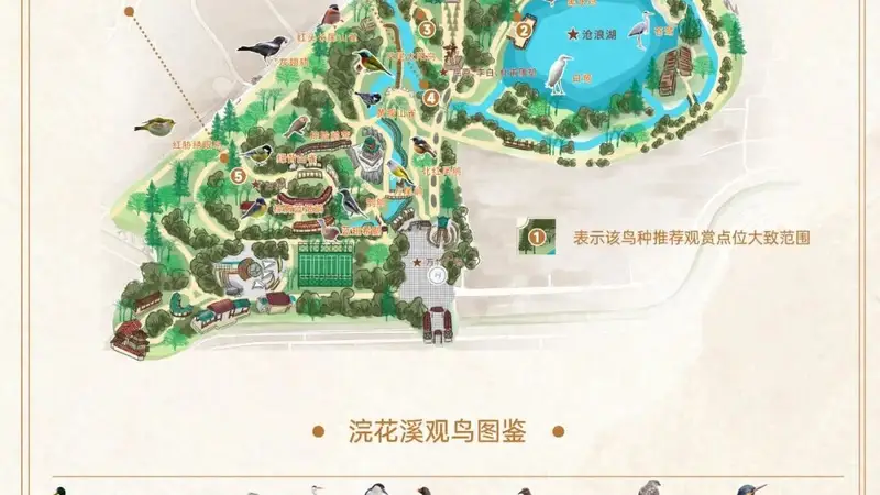 浣花溪公园观鸟地图上线 现场记录259种鸟类