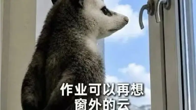 一高校录取通知书附带30份作业,新生:不嘻嘻...