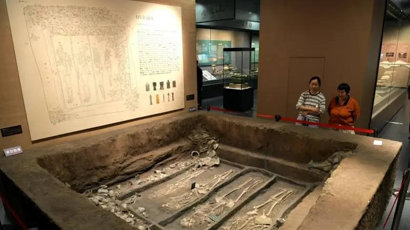 山东滕州：288件（套）实物资料展现“一眼万年”