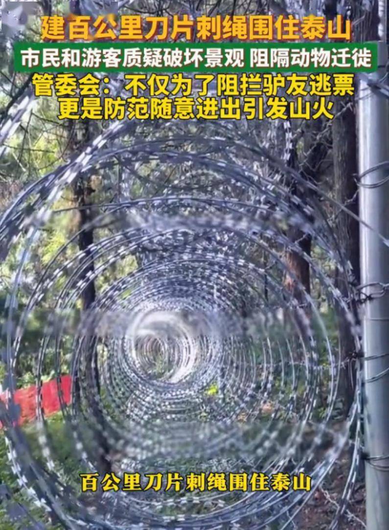 泰山景区建135公里刀片刺绳隔离网，防止驴友不买票进入，景区回应“是的”，网友提出四大质疑