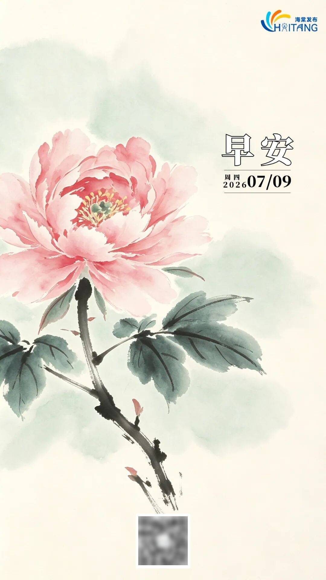 【早安，海棠】藏在小面馆里，不为人知的温暖