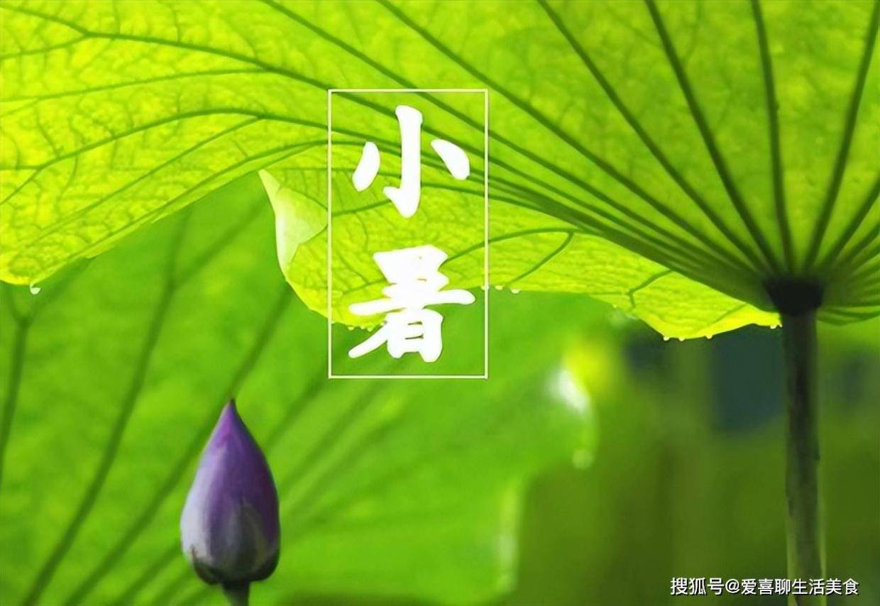小暑将至，不懂吃就亏了，这5种食材建议常吃，老人说赛过喝参汤！