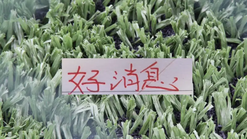 好消息!北京国安10号发文报平安 之前入选5月官方最佳候选人