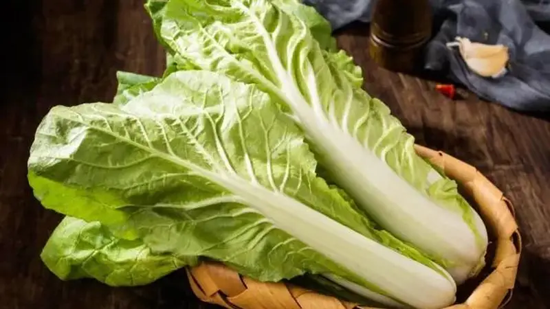 小白菜的营养价值?