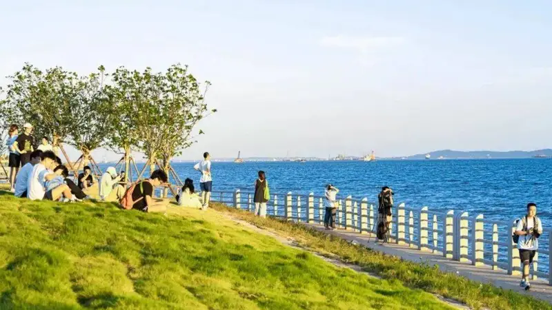 厦门本地人怎么玩鼓浪屿?2026定制游的在地视角与避坑点