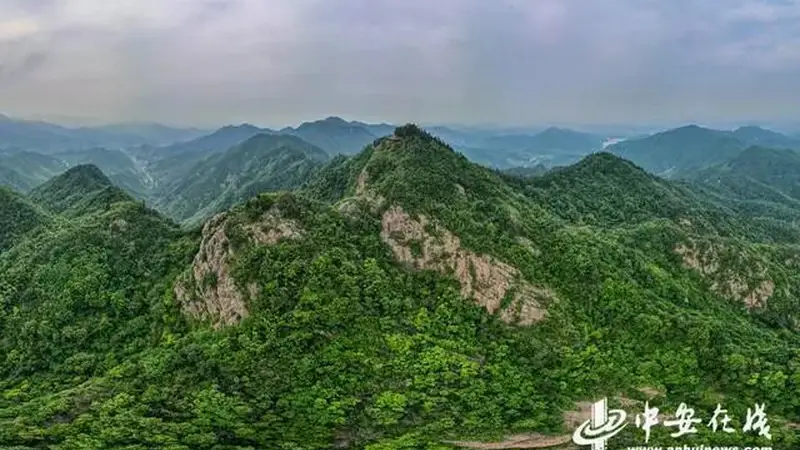邓彩云:合肥之巅,飒飒凌空