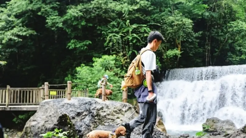 今起西岭雪山后山半山对宠物正式开放