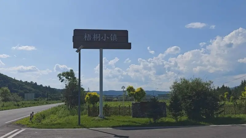 南岔县梧桐镇:打造生态康养旅游新名片