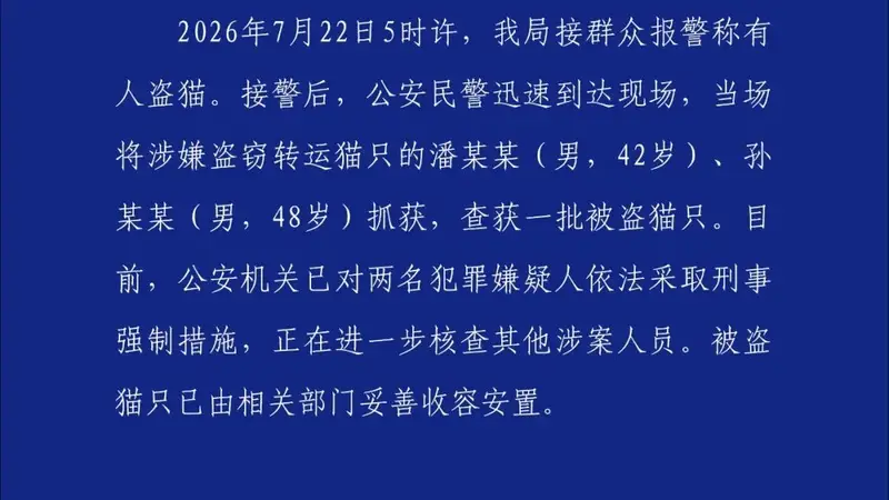 山东莱州警方通报：两名男子涉嫌盗窃转运上百只猫 已采取刑事强制措施